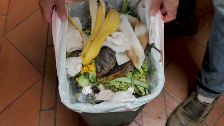 Best Dumpster Rental Services  in Babbitt, MN