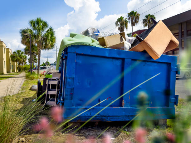 Best Electronics and E-Waste Disposal  in Babbitt, MN
